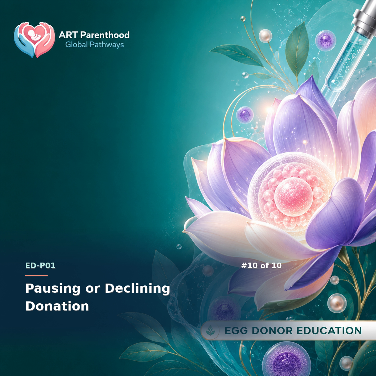 Egg Donors education card for ED-LP01-10: Pausing or Declining Donation.