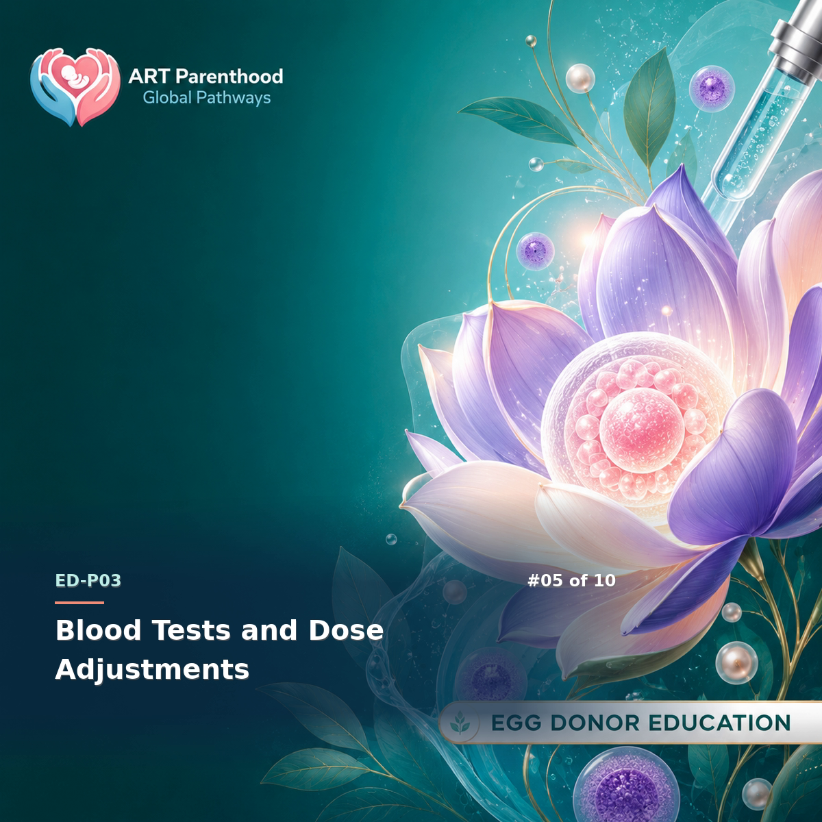 Egg Donors education card for ED-LP03-05: Blood Tests and Dose Adjustments.