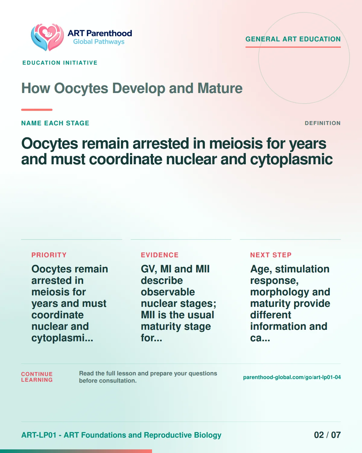 Slide 2 of ART-LP01-04 uses an accessible scientific illustration to explain how oocytes develop and mature without implying a personal diagnosis.