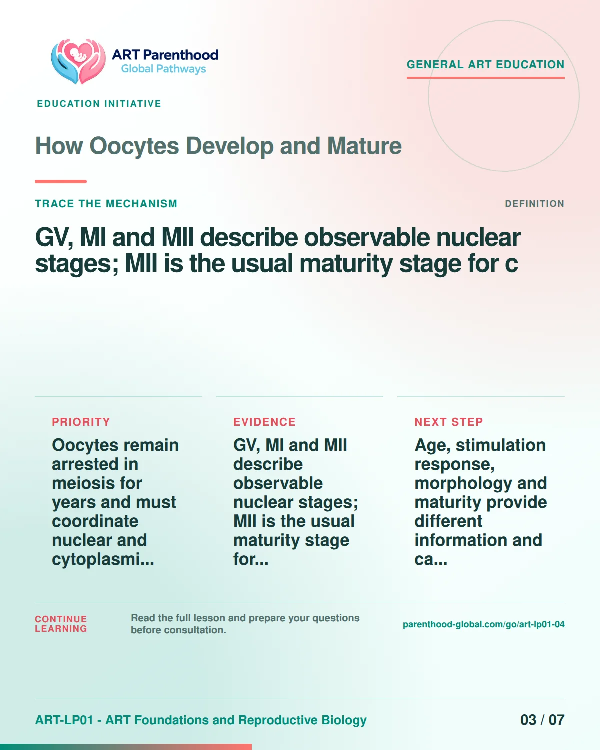 Slide 3 of ART-LP01-04 uses an accessible scientific illustration to explain how oocytes develop and mature without implying a personal diagnosis.