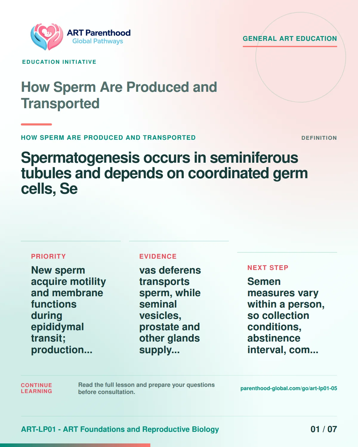Slide 1 of ART-LP01-05 uses an accessible scientific illustration to explain how sperm are produced and transported without implying a personal diagnosis.