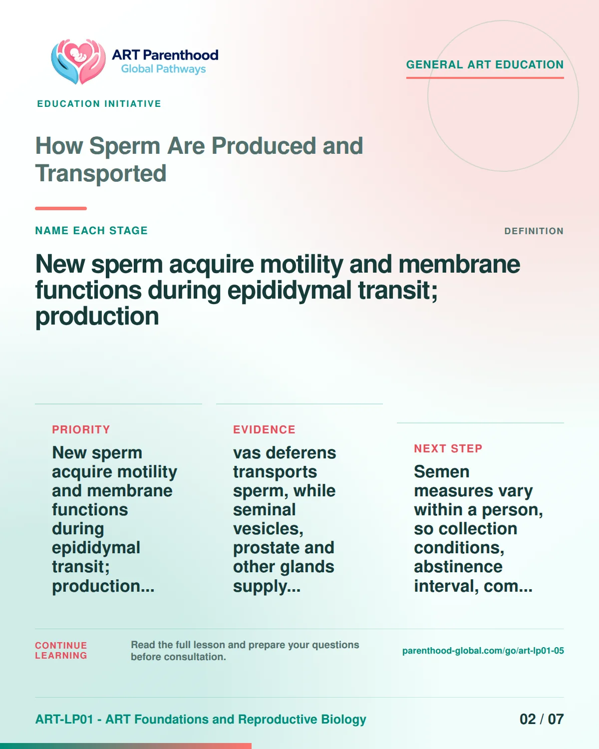 Slide 2 of ART-LP01-05 uses an accessible scientific illustration to explain how sperm are produced and transported without implying a personal diagnosis.