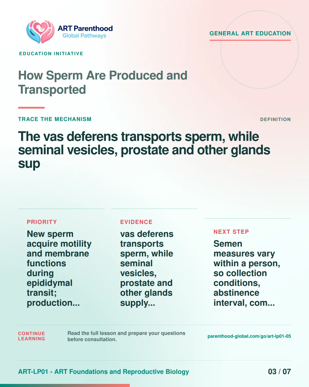 Slide 3 of ART-LP01-05 uses an accessible scientific illustration to explain how sperm are produced and transported without implying a personal diagnosis.