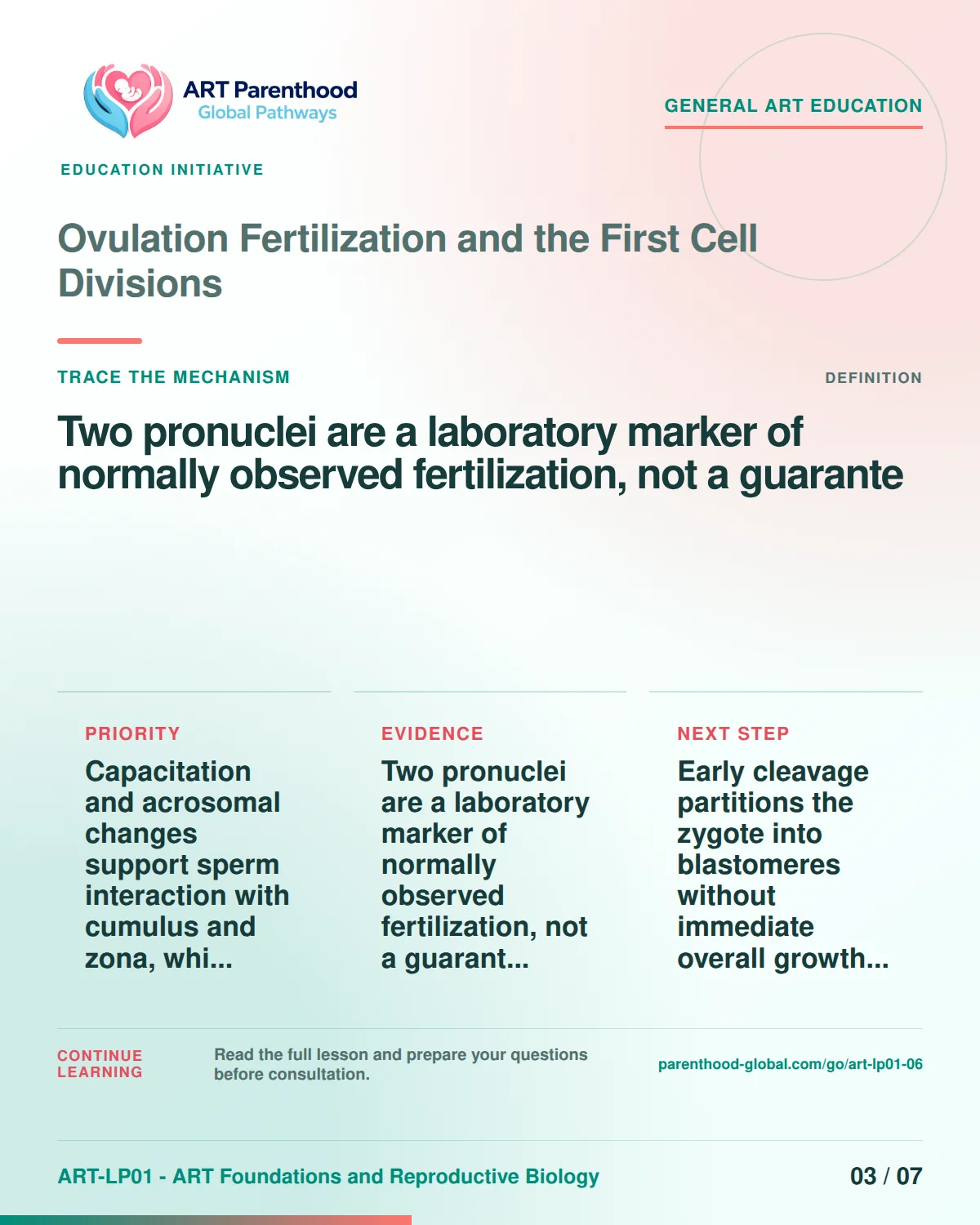 Slide 3 of ART-LP01-06 uses an accessible scientific illustration to explain ovulation, fertilization and first cell divisions without implying a personal diagnosis.