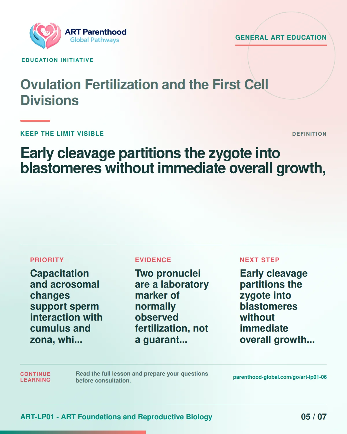 Slide 5 of ART-LP01-06 uses an accessible scientific illustration to explain ovulation, fertilization and first cell divisions without implying a personal diagnosis.