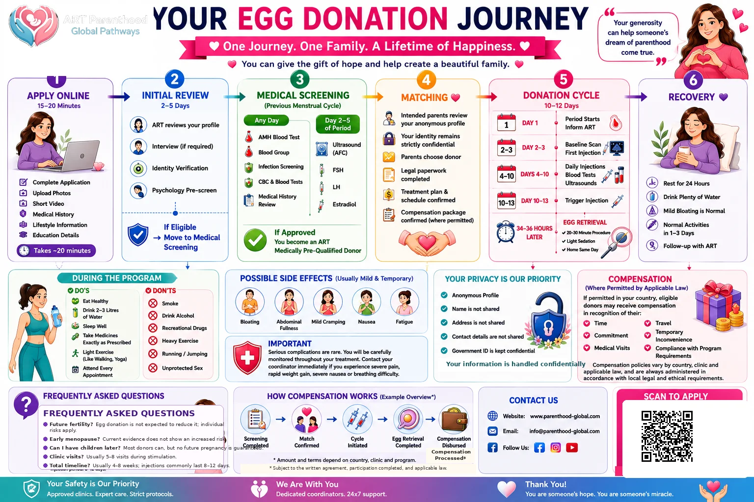 Infographic explaining the egg donation journey